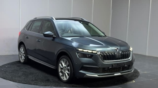 2021 Skoda KAMIQ