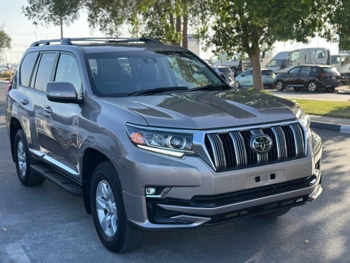 2019 TOYOTA Land Cruiser Prado