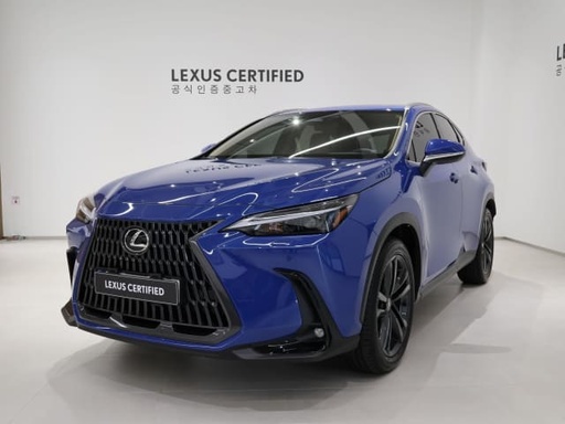 2025 LEXUS NX