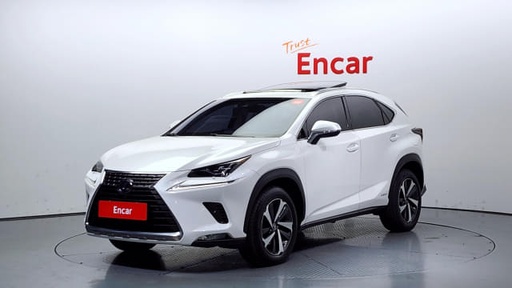 2019 LEXUS NX