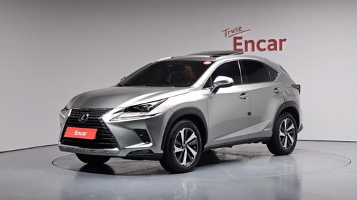 2021 LEXUS NX