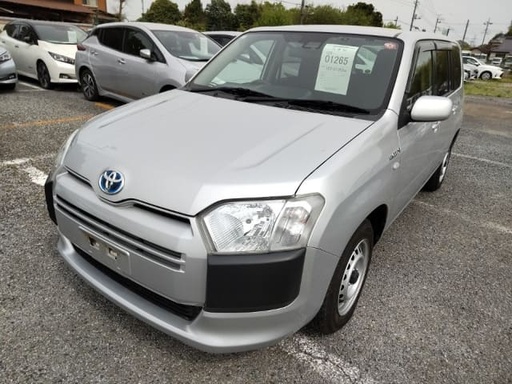 2019 TOYOTA Probox Van