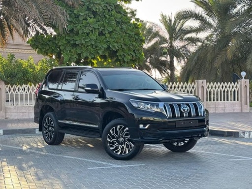 2019 TOYOTA Land Cruiser Prado