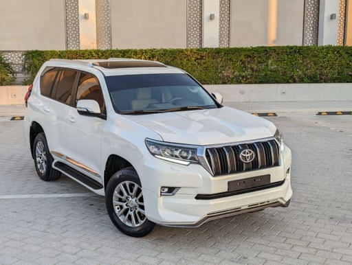 2019 TOYOTA Land Cruiser Prado