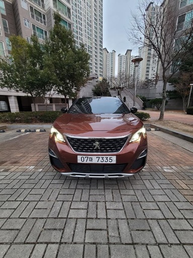 2019 PEUGEOT 3008