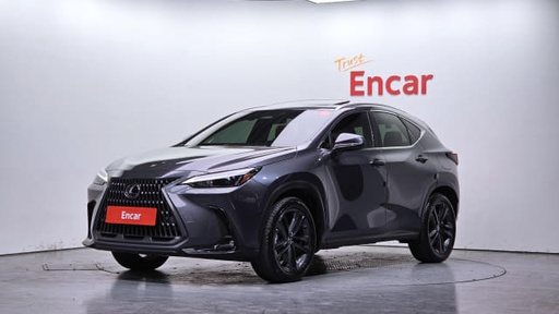 2024 LEXUS NX