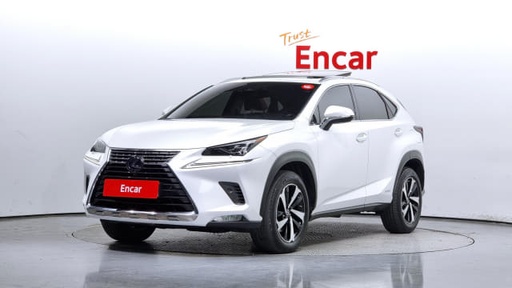 2021 LEXUS NX