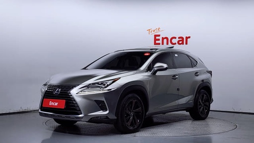 2020 LEXUS NX