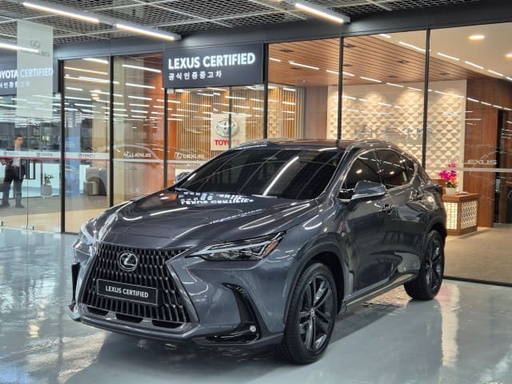 2025 LEXUS NX