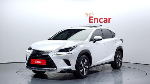 2020 LEXUS NX