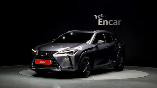 2019 LEXUS UX