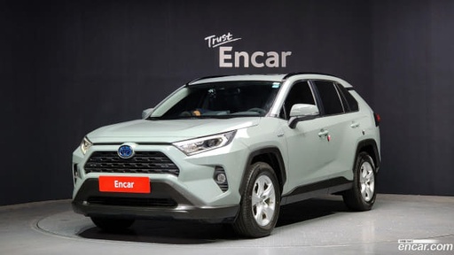 2019 TOYOTA RAV4