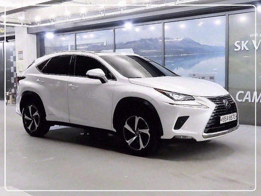 2021 LEXUS NX