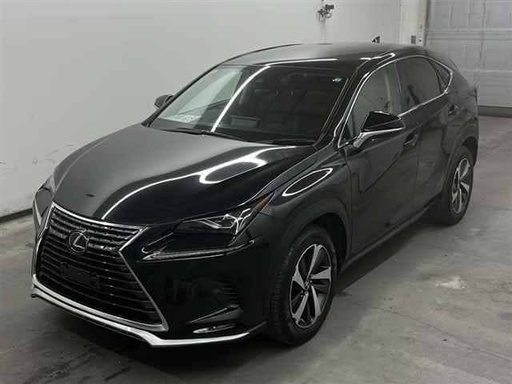 2019 LEXUS NX, 