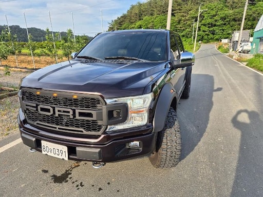 2019 FORD F150