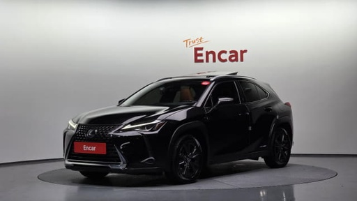 2019 LEXUS UX