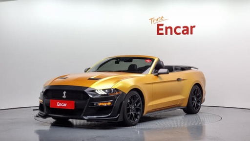 2019 FORD Mustang