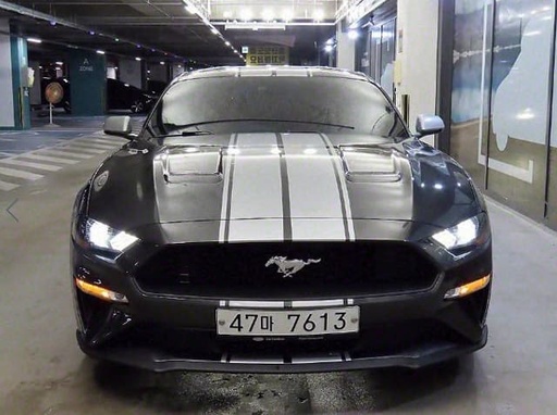 2019 FORD Mustang
