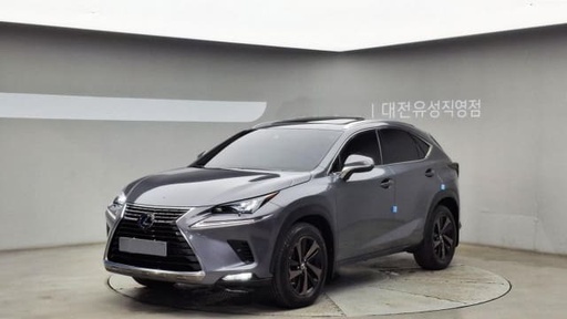 2019 LEXUS NX
