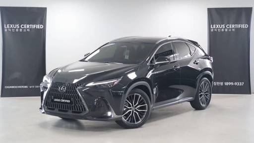 2024 LEXUS NX, 