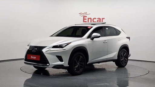 2018 LEXUS NX