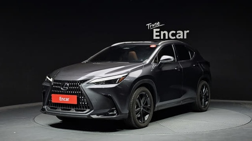 2024 LEXUS NX