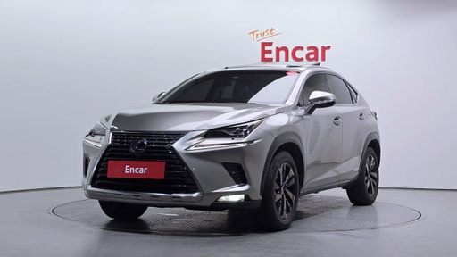 2019 LEXUS NX