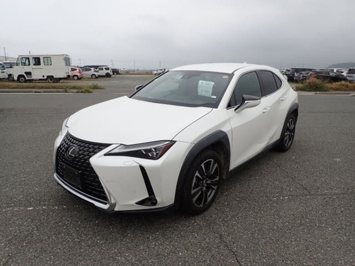 2019 LEXUS UX