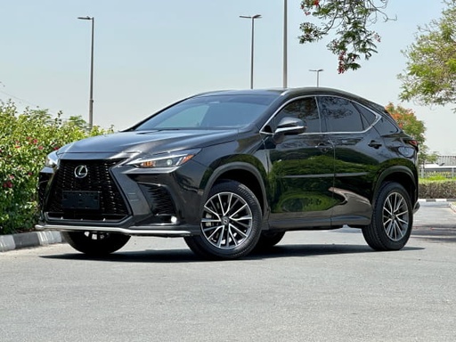 2022 LEXUS NX
