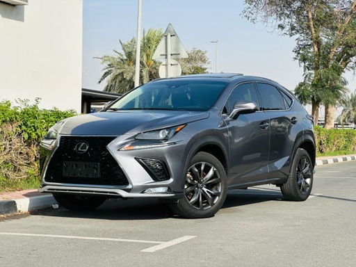 2020 LEXUS NX