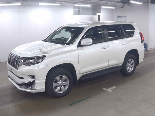 2019 TOYOTA Land Cruiser Prado