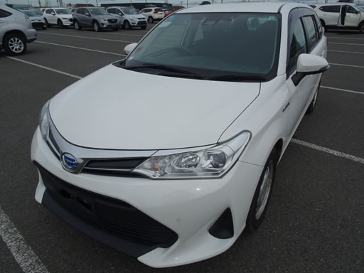 2019 TOYOTA Corolla Fielder