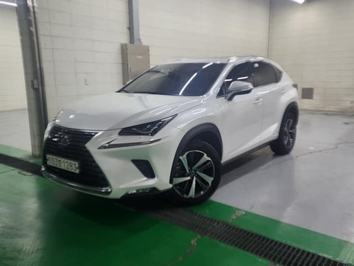 2020 LEXUS NX