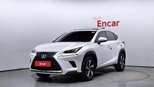 2018 LEXUS NX