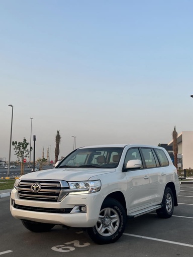 2019 TOYOTA Land Cruiser