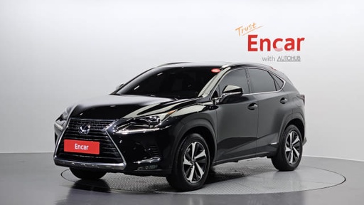 2021 LEXUS NX