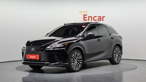 2025 LEXUS RX
