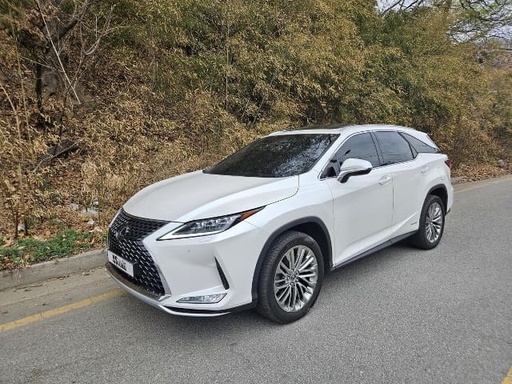 2020 LEXUS RX, 