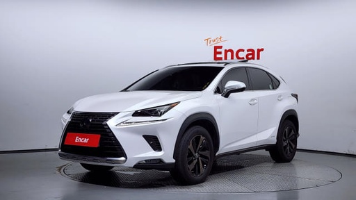 2021 LEXUS NX