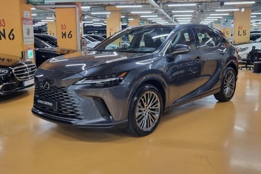 2025 LEXUS RX