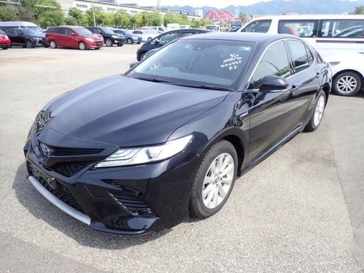 2019 TOYOTA Camry Hybrid, 