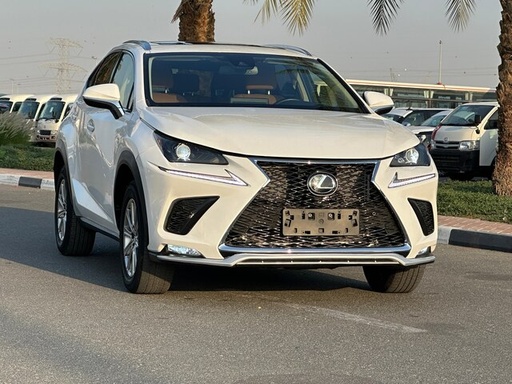 2021 LEXUS NX