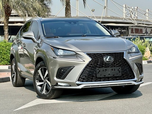 2020 LEXUS NX