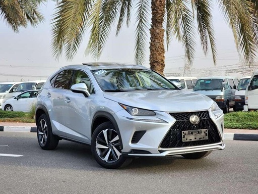 2019 LEXUS NX