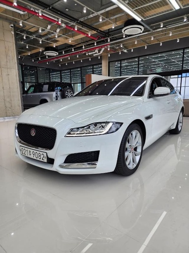 2019 JAGUAR XF