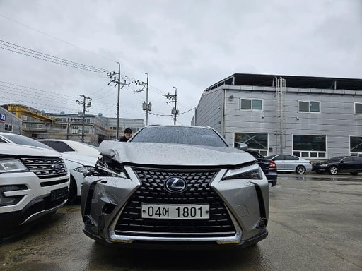 2019 LEXUS UX