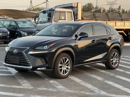 2020 LEXUS NX