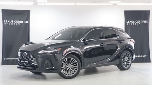 2024 LEXUS RX