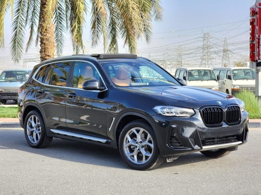 2023 BMW X3