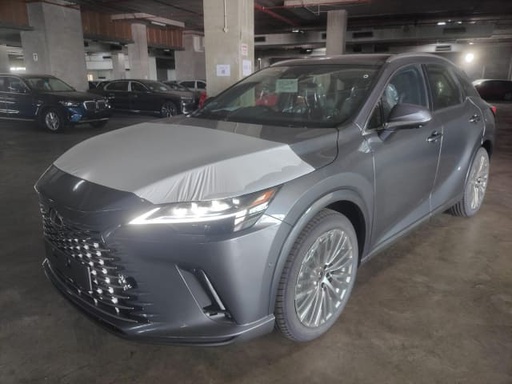 2024 LEXUS RX, 